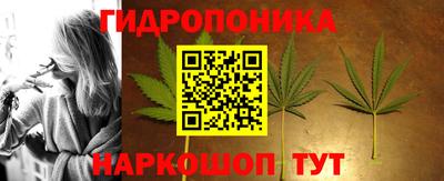 спиды Бийск