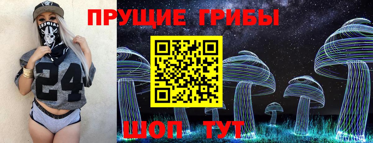 Галлюциногенные грибы Psilocybine cubensis Киров