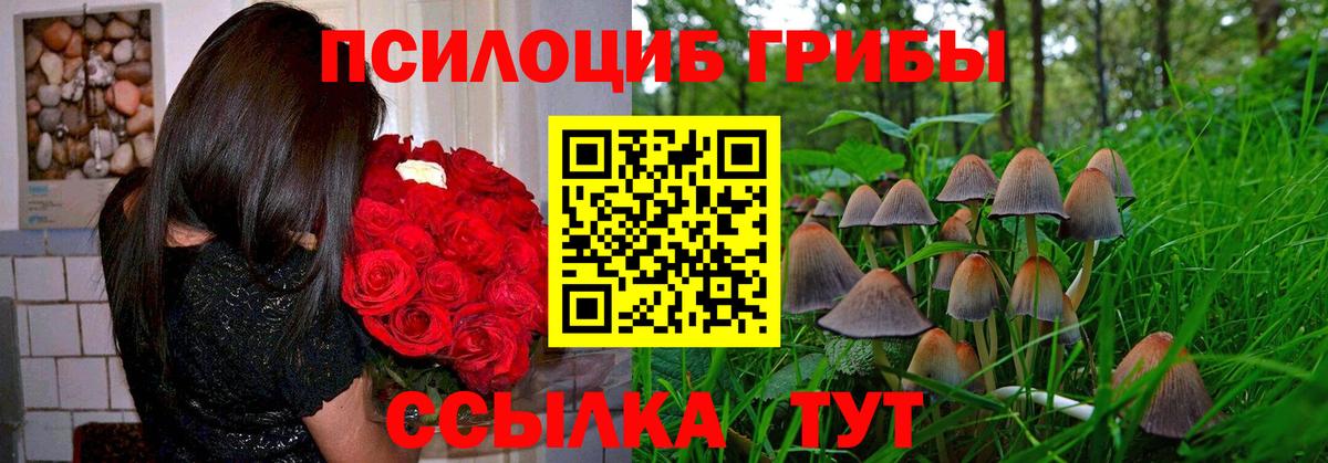 Киров  Галлюциногенные грибы прущие грибы  Вход с VPN 