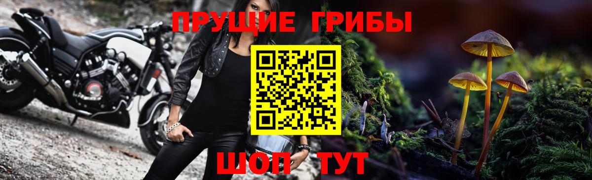 Псилоцибиновые грибы Киров